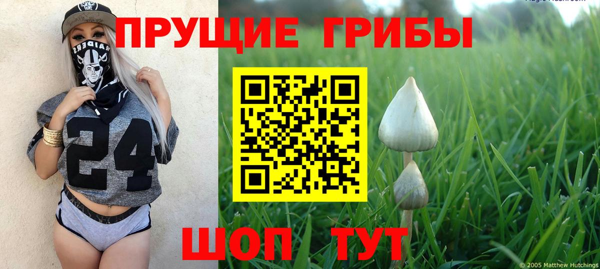 Галлюциногенные грибы GOLDEN TEACHER  Псилоцибиновые грибы GOLDEN TEACHER  Вход с VPN  Гурьевск 