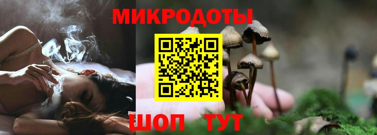 Псилоцибиновые грибы Psilocybine cubensis Гурьевск